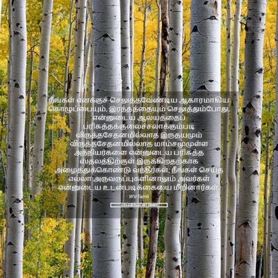 Picture 05 - எசேக்கியேல் 44:7 TAMIRV - நீங்கள் எனக்குச் - Bible Verse Picture