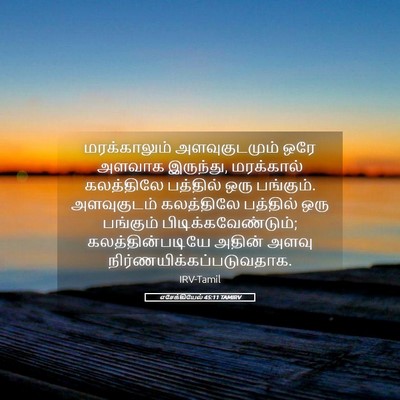 Picture 05 - எசேக்கியேல் 45:11 TAMIRV - மரக்காலும் - Bible Verse Picture
