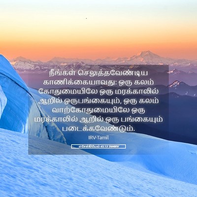 Picture 05 - எசேக்கியேல் 45:13 TAMIRV - நீங்கள் - Bible Verse Picture