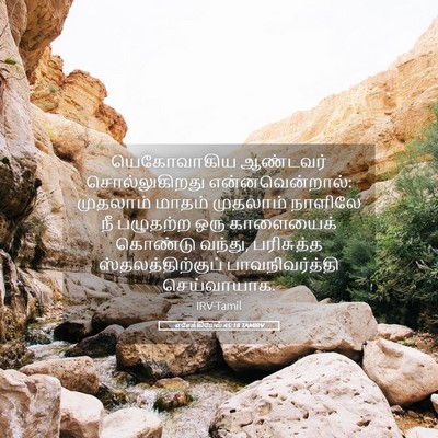 Picture 05 - எசேக்கியேல் 45:18 TAMIRV - யெகோவாகிய ஆண்டவர் - Bible Verse Picture