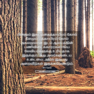 Picture 05 - எசேக்கியேல் 45:5 TAMIRV - பின்னும் - Bible Verse Picture