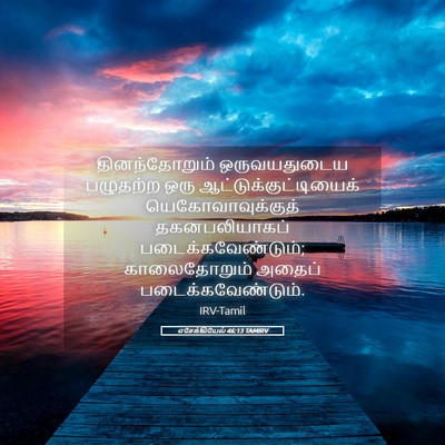Picture 05 - எசேக்கியேல் 46:13 TAMIRV - தினந்தோறும் - Bible Verse Picture