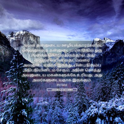 Picture 05 - எசேக்கியேல் 46:17 TAMIRV - அவன் தன்னுடைய - Bible Verse Picture