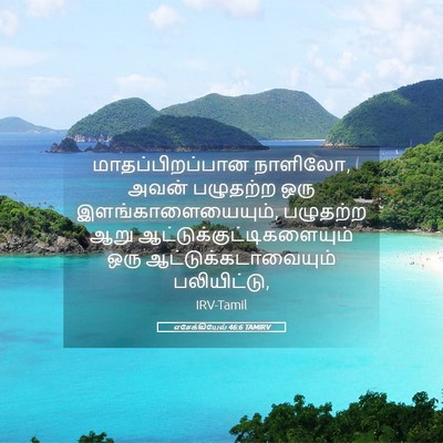 Picture 05 - எசேக்கியேல் 46:6 TAMIRV - மாதப்பிறப்பான - Bible Verse Picture