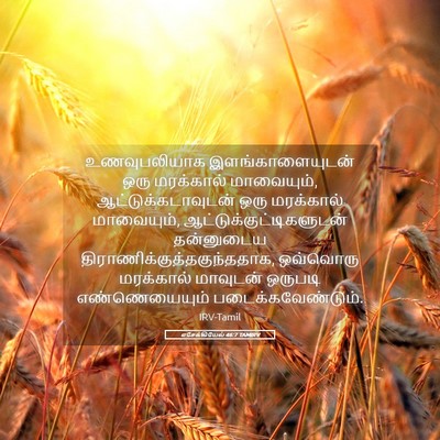 Picture 05 - எசேக்கியேல் 46:7 TAMIRV - உணவுபலியாக - Bible Verse Picture