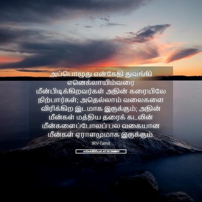 Picture 05 - எசேக்கியேல் 47:10 TAMIRV - அப்பொழுது என்கேதி - Bible Verse Picture