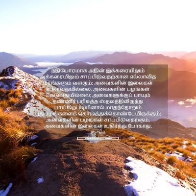 Picture 05 - எசேக்கியேல் 47:12 TAMIRV - நதியோரமாக அதின் - Bible Verse Picture