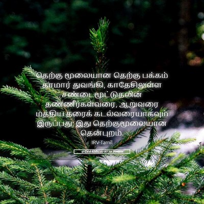 Picture 05 - எசேக்கியேல் 47:19 TAMIRV - தெற்கு மூலையான - Bible Verse Picture