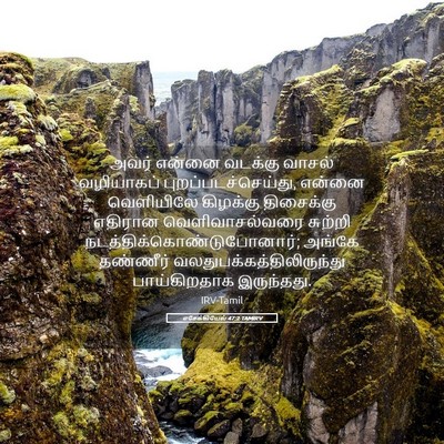 Picture 05 - எசேக்கியேல் 47:2 TAMIRV - அவர் என்னை வடக்கு - Bible Verse Picture