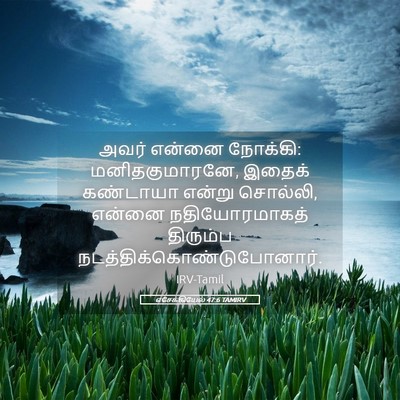 Picture 05 - எசேக்கியேல் 47:6 TAMIRV - அவர் என்னை நோக்கி: - Bible Verse Picture