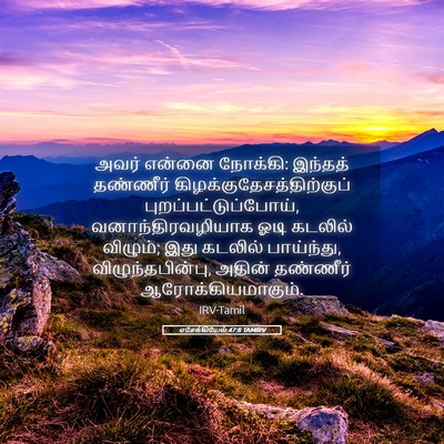 Picture 05 - எசேக்கியேல் 47:8 TAMIRV - அவர் என்னை நோக்கி: - Bible Verse Picture