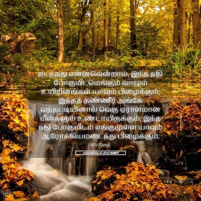 Picture 05 - எசேக்கியேல் 47:9 TAMIRV - நடந்தது - Bible Verse Picture
