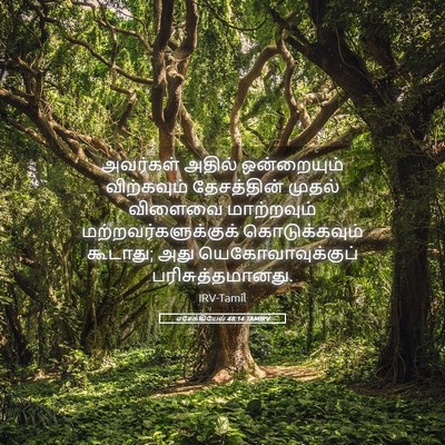 Picture 05 - எசேக்கியேல் 48:14 TAMIRV - அவர்கள் அதில் - Bible Verse Picture