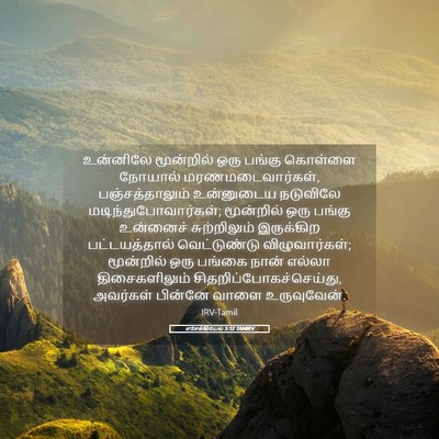 Picture 05 - எசேக்கியேல் 5:12 TAMIRV - உன்னிலே மூன்றில் - Bible Verse Picture
