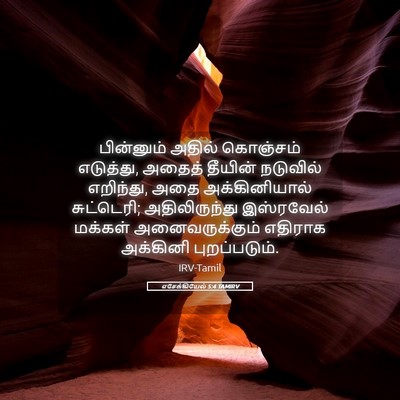 Picture 05 - எசேக்கியேல் 5:4 TAMIRV - பின்னும் அதில் - Bible Verse Picture