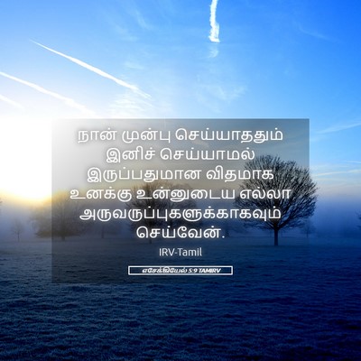Picture 05 - எசேக்கியேல் 5:9 TAMIRV - நான் முன்பு - Bible Verse Picture