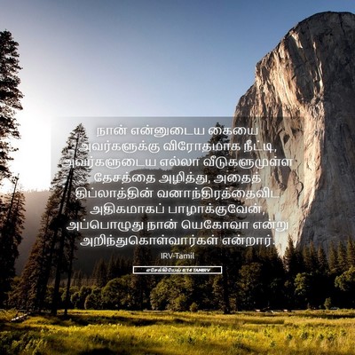 Picture 05 - எசேக்கியேல் 6:14 TAMIRV - நான் என்னுடைய - Bible Verse Picture