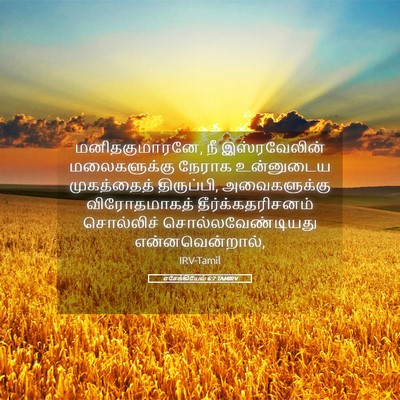 Picture 05 - எசேக்கியேல் 6:2 TAMIRV - மனிதகுமாரனே, நீ - Bible Verse Picture