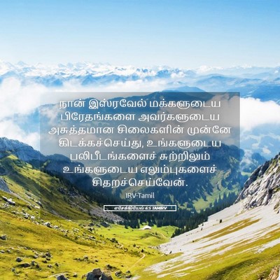 Picture 05 - எசேக்கியேல் 6:5 TAMIRV - நான் இஸ்ரவேல் - Bible Verse Picture