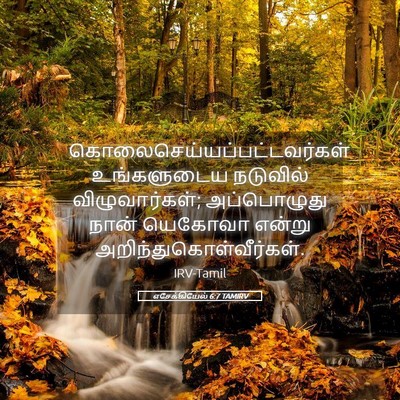 Picture 05 - எசேக்கியேல் 6:7 TAMIRV -  - Bible Verse Picture