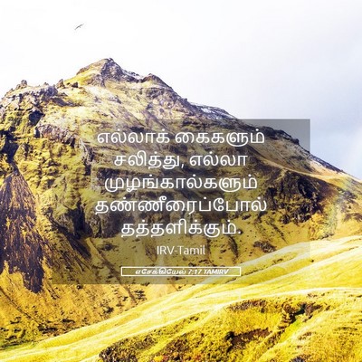 Picture 05 - எசேக்கியேல் 7:17 TAMIRV - எல்லாக் கைகளும் - Bible Verse Picture