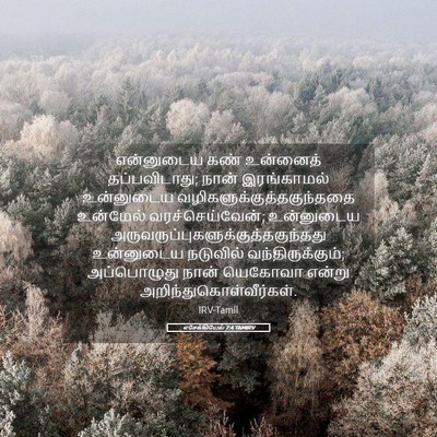 Picture 05 - எசேக்கியேல் 7:4 TAMIRV - என்னுடைய கண் - Bible Verse Picture