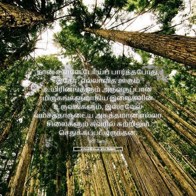 Picture 05 - எசேக்கியேல் 8:10 TAMIRV - நான் உள்ளே போய்ப் - Bible Verse Picture