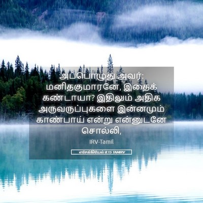 Picture 05 - எசேக்கியேல் 8:15 TAMIRV - அப்பொழுது அவர்: - Bible Verse Picture