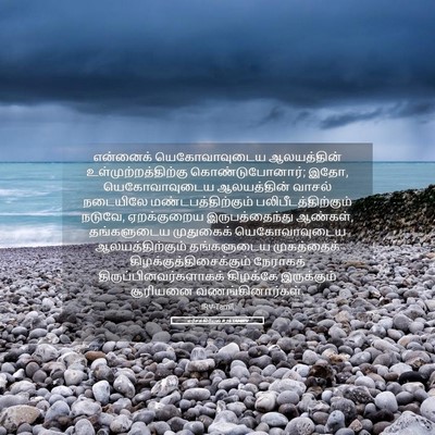 Picture 05 - எசேக்கியேல் 8:16 TAMIRV - என்னைக் - Bible Verse Picture