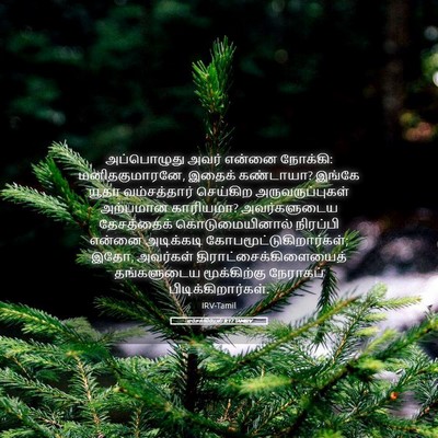 Picture 05 - எசேக்கியேல் 8:17 TAMIRV - அப்பொழுது அவர் - Bible Verse Picture