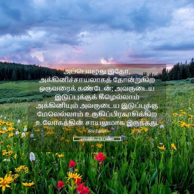 Picture 05 - எசேக்கியேல் 8:2 TAMIRV - அப்பொழுது இதோ, - Bible Verse Picture