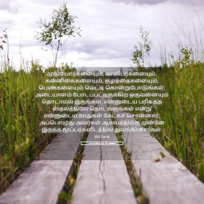 Picture 05 - எசேக்கியேல் 9:6 TAMIRV - முதியோர்களையும், - Bible Verse Picture