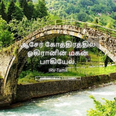 Picture 05 - எண்ணாகமம் 1:13 TAMIRV - ஆசேர் - Bible Verse Picture