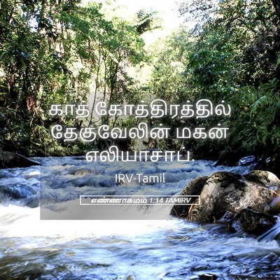Picture 05 - எண்ணாகமம் 1:14 TAMIRV - காத் - Bible Verse Picture