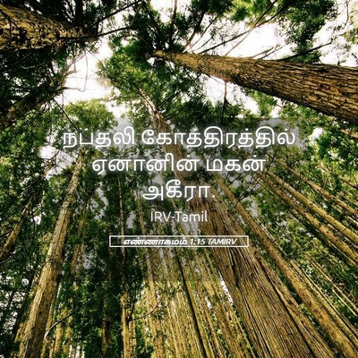 Picture 05 - எண்ணாகமம் 1:15 TAMIRV - நப்தலி - Bible Verse Picture