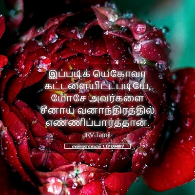 Picture 05 - எண்ணாகமம் 1:19 TAMIRV - இப்படிக் யெகோவா - Bible Verse Picture