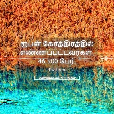 Picture 05 - எண்ணாகமம் 1:21 TAMIRV - ரூபன் - Bible Verse Picture