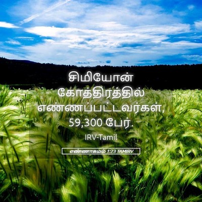 Picture 05 - எண்ணாகமம் 1:23 TAMIRV - சிமியோன் - Bible Verse Picture