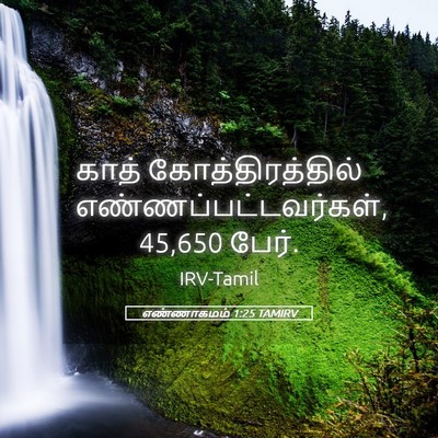 Picture 05 - எண்ணாகமம் 1:25 TAMIRV - காத் - Bible Verse Picture