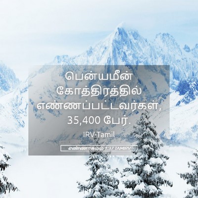 Picture 05 - எண்ணாகமம் 1:37 TAMIRV - பென்யமீன் - Bible Verse Picture