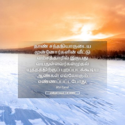 Picture 05 - எண்ணாகமம் 1:38 TAMIRV - தாண் - Bible Verse Picture