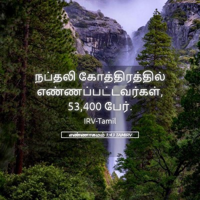 Picture 05 - எண்ணாகமம் 1:43 TAMIRV - நப்தலி - Bible Verse Picture