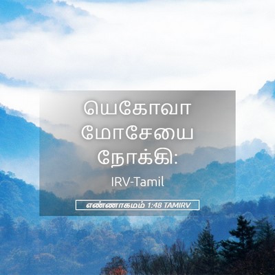 Picture 05 - எண்ணாகமம் 1:48 TAMIRV - யெகோவா மோசேயை - Bible Verse Picture