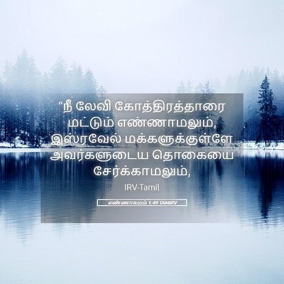 Picture 05 - எண்ணாகமம் 1:49 TAMIRV - “நீ லேவி - Bible Verse Picture