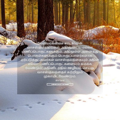 Picture 05 - எண்ணாகமம் 1:50 TAMIRV - லேவியர்களைச் - Bible Verse Picture