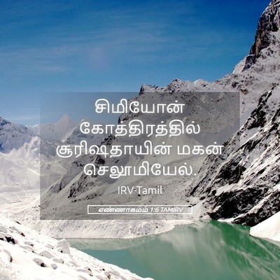 Picture 05 - எண்ணாகமம் 1:6 TAMIRV - சிமியோன் - Bible Verse Picture