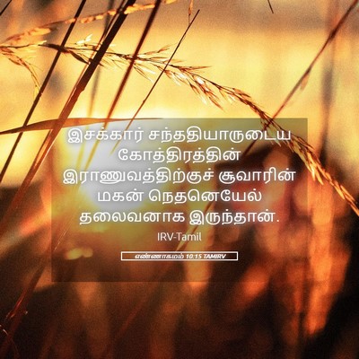 Picture 05 - எண்ணாகமம் 10:15 TAMIRV - இசக்கார் - Bible Verse Picture