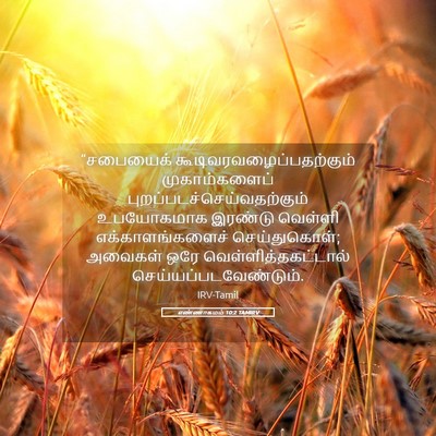 Picture 05 - எண்ணாகமம் 10:2 TAMIRV - “சபையைக் - Bible Verse Picture