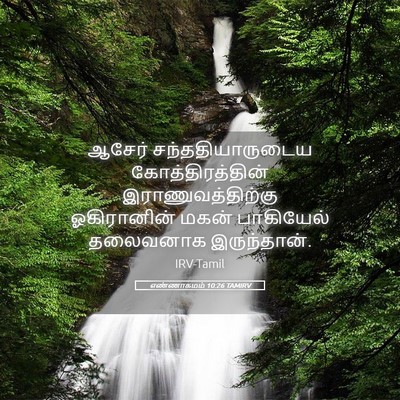 Picture 05 - எண்ணாகமம் 10:26 TAMIRV - ஆசேர் - Bible Verse Picture
