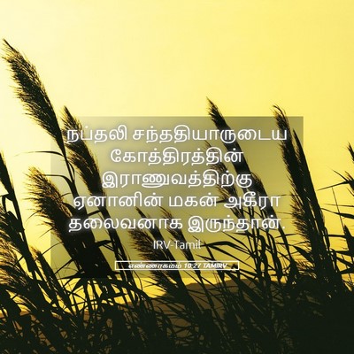 Picture 05 - எண்ணாகமம் 10:27 TAMIRV - நப்தலி - Bible Verse Picture